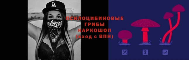 дмт Абинск