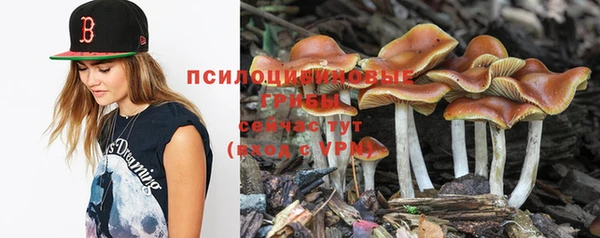 дмт Абинск